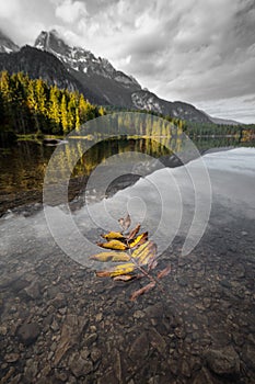 Tovel Lake on Italian Alps. Landscape around Tovel Lake, Italy