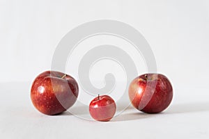 Tow parent apples with a baby apple on red background photo