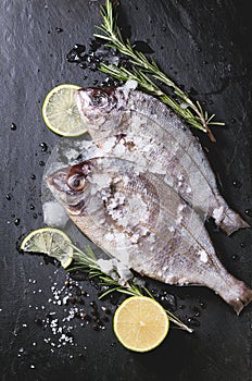 Tow raw fish with rosemary over black