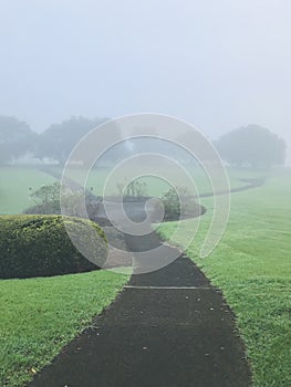 Towards the rose garden in the mist.