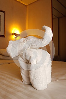 Towel animal on a cruise ship