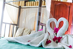 Towel decoration in hotel room, towel birds, room interio