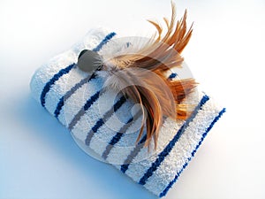 Towel and Feather Brush