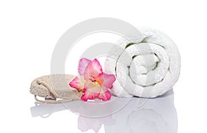 Towel, gladiola and pumice