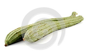 Towel gourd photo