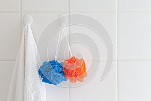 Towel and mesh bath sponges