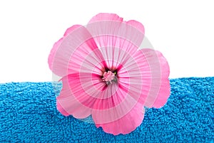 Towel and pink flower