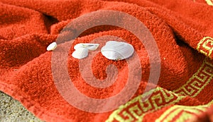 Towel and seashells on the beach