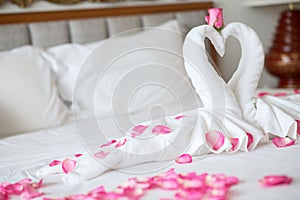 Towel swans on the bed in hotel