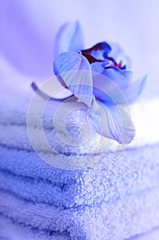 Towels in blue