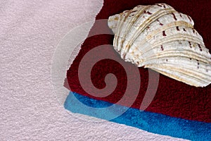 Towels and shell