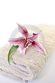 Towels spa