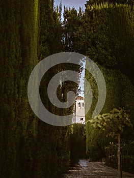 Tower of Alhambra, Granada, from the gardens of Generalife