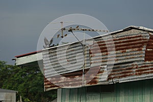 Tower antenna with home.