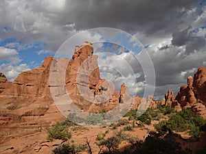 From Tower Arch Trail