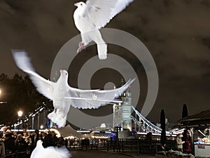 Tower Bridge at night with a white dove overlay