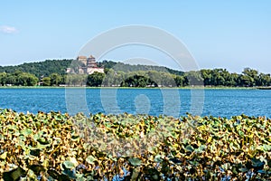 Tower of Buddhist Incense