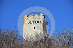 tower of Burg OlbrÃ¼ck above the bold spring trees