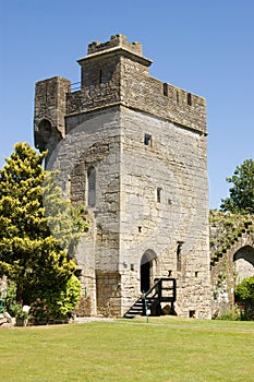 Tower, Caldicot Castle