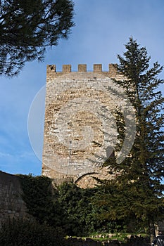 Tower of Castello di Lombardia medieval castle in photo