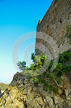 A tower of the castillo de forna on a large rock with a green shrub and blue sky