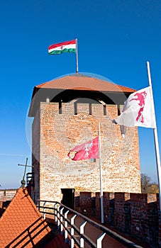 Tower of the castle Gyula