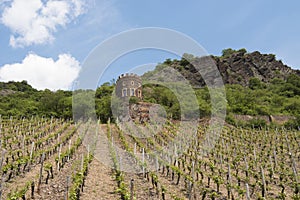 Tower of Castle in vineyard on river Moselle