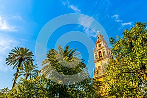 The tower of the cathedral mosque of Cordoba in Andalusia from the courtyard of the orange trees.