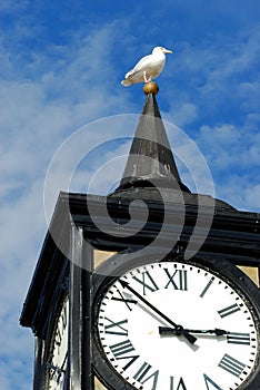 The tower clock, Brighton pier