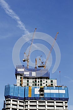 Tower crane