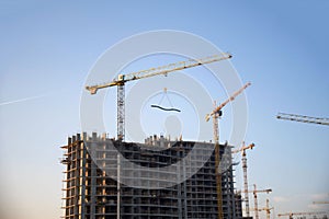 Tower cranes constructing a new residential building at a construction site against blue sky.