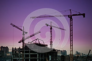 Tower cranes silhouette photo