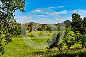 Beautiful Summer View in the Stunning Belle Fourche River Valley, Devils Tower National Monument in Wyoming.