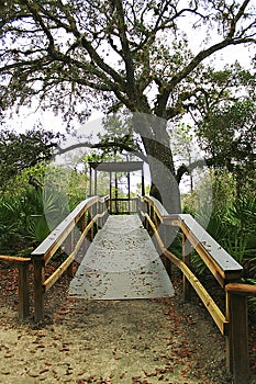 Tower at Erna Nixon Park