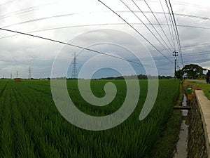 tower Extra high voltage air ducts in rice fields