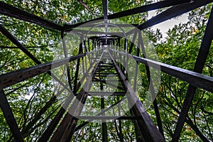 Tower in forest