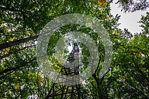 Tower in forest