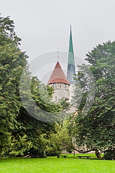 Tower of a fortification and St. Olaf`s Church in Tallinn, Eston