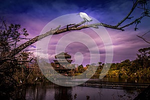 Tower at Gatorland, Florida at sunset