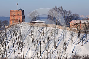 Tower of Gediminas