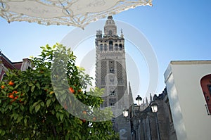 Tower of Giralda, orange tree and white lace umbrella. Blue sky, Seville, Spain