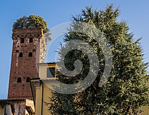 Tower of Giunigi in Lucca, Italy