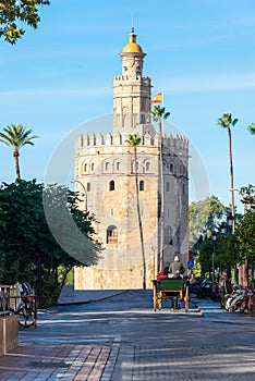 Tower of Gold and Horse-Drawn Carriage Tour photo