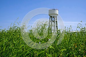 Tower in the grass
