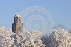 The tower of the Great Church in the city of Deventer, the Netherlands, towering above snow covered trees