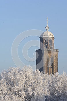 The tower of the Great Church in the city of Deventer, the Netherlands, towering above snow covered trees