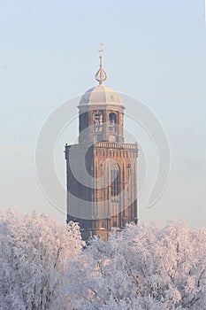 The tower of the Great Church in the city of Deventer, the Netherlands, towering above snow covered trees