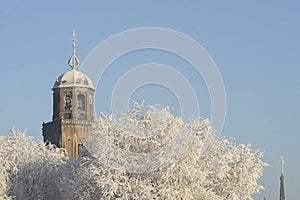 The tower of the Great Church in the city of Deventer, the Netherlands, towering above snow covered trees