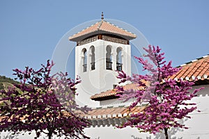 Tower of the Great Mosque of Granada photo