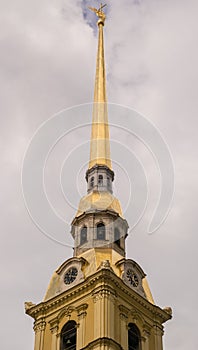 Tower high golden spire and clock